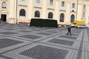 FOTO Bradul de Crăciun prinde contur în Piaţa Mare. Va fi montat în câteva zile