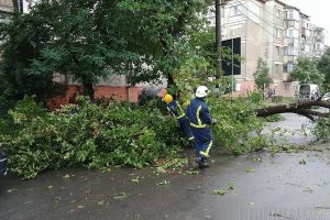 Copac căzut peste o maşină în Oradea