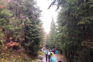 ”Terorism ecologic”: Două camioane de gunoaie, adunate de pe 3 km din Via Transilvanica (FOTO)