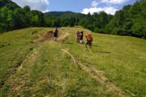 Salvamontistii maramureseni, interventie in cazul unui tanar cazut dintr-un utilaj