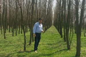 Garda de Mediu a amendat un fermier pentru că a plantat 40.000 de copaci pe propriul teren. Motivele sunt STUPIDE