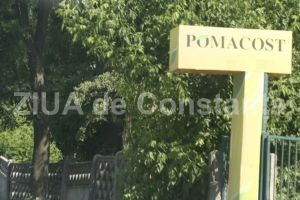 Nu fac niciun comentariu“:  Fosta Pomacost, actuala Garden Shop Services, la judecata cu Primaria Constanta pentru bani