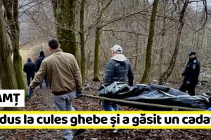 NEAMȚ: S-a dus să culeagă ghebe şi a găsit un cadavru