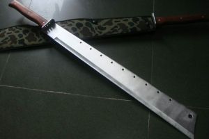 Campanie electorala intrerupta brusc intr-un mod cat se poate de brailean, pe muchie de cutit