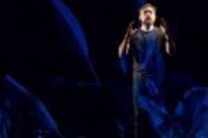 Radu Paraschivescu, Ana Blandiana şi Florin Piersic jr. pe scena Teatrului Naţional Timişoara