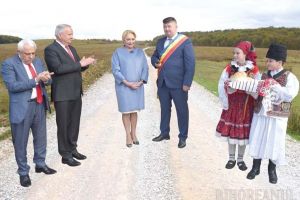 Drumul şi tunul: PSD şi UDMR Bihor au dat 2,5 milioane euro din banii judeţului propriilor primari, care i-au „îngropat” în lucrări îndoielnice (FOTO)