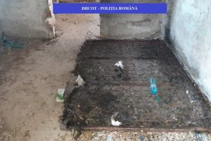 Minora, batjocorita de un tanar. Detalii socante din ancheta DIICOT