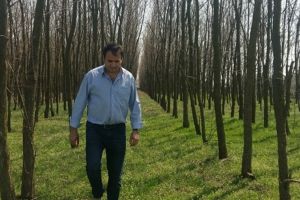 Un bărbat a plantat 40.000 de copaci pe terenul său. Garda de Mediu l-a amendat