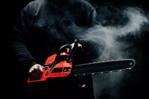 Arădeanul care a DECAPITAT un om cu DRUJBA, condamnat la 25 de ani de închisoare