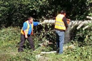 Au fost deblocate toate drumurile judeţene după furtuna de duminică FOTO