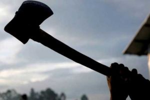 Legea penală e mai presus decât legea junglei. Ce a păţit un bărbat care a atacat cu toporul un poliţist