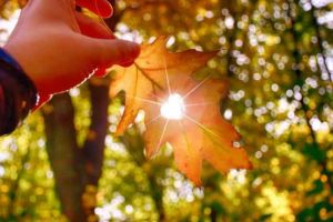 Luna octombrie a acestui an a fost cea mai caldă lună octombrie înregistrată vreodată în lume