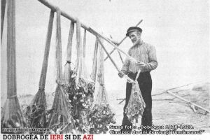 #DobrogeaDigitala Marturii de epoca privind istoria Dobrogei (1878-1947)“:  Asta-zi, pestele este un aliment de lux, iar pescarul a devenit un fel de rob al comerciantului“