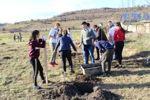 Prima ”Pădure comestibilă” din judeţ prinde rădăcini la Liceul Agricol Bistriţa