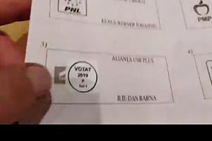 VIDEO. Acuzaţii grave din Diaspora. Cum ar putea fi fraudat votul la prezidenţiale