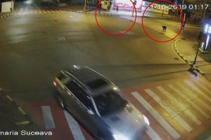 Ultraşi dinamovişti, sancţionaţi pentru acte de vandalism, în baza imaginilor de pe ...