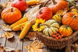 Luna octombrie a acestui an a fost cea mai caldă lună octombrie înregistrată vreodată în lume