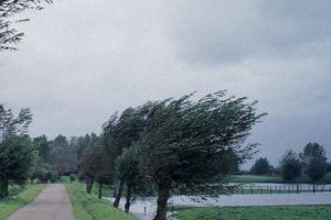 Vântul suflă cu putere la Sibiu – E cod galben în judeţ