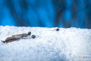 Slobozia: Ajutoare de urgenţă, constând în bani/lemne pentru foc, în sezonul rece 2019-2020