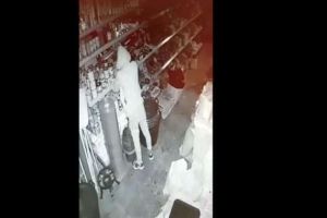 VIDEO. Tânăr din Cugir, cercetat penal, pentru furt calificat. A spart vitrina unui magazin şi a sustras mai multe recipiente cu prenadez