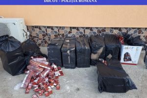 DIICOT: Grup infractional organizat in contrabanda. Perchezitii in trei judete