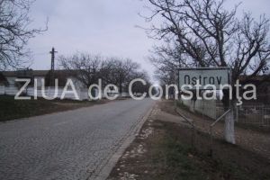 O bulgara a incercat sa treaca ilegal granita spre Romania