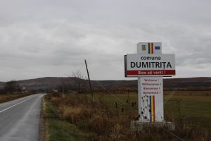 Doi urşi au pierit în accidente, unul de maşină şi altul de tren. Cum s-au petrecut