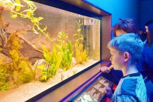 Orădenii pot adopta animale din Vivariul Muzeului Țării Crişurilor