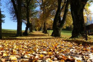 METEO: Vremea deosebit de caldă continuă în următoarea perioadă. Ce iarnă se anunţă şi când va fi lovită România de viscol şi ger cumplit