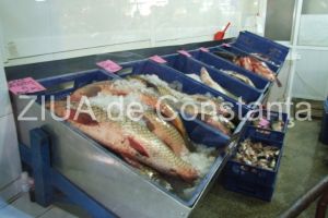 Hala pentru procesarea produselor piscicole in comuna Agigea. Investitorul a solicitat acord de mediu