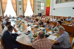 Mintea de pe urmă: De ce jumătate din consilierii PNL nu şi-au donat indemnizaţiile Asociaţiei Down Oradea