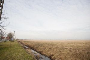 Apelul disperat al tinerilor declaraţi norocoşi pe Legea 15: „Noi nu suntem pilele nimănui”