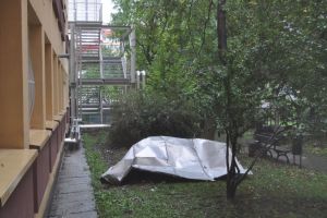 Cum se împarte milionul dat de Guvern pentru reparaţii după furtuna devastatoare