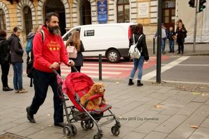 FOTO. Câine bolnav, purtat în cărucior. O poveste înduioşătoare despre prietenie