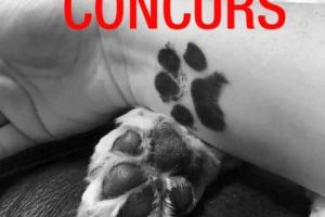 Concurs INEDIT de strângere de fonduri pentru animalele nevoiaşe: Cum poţi ajuta un căţel al străzii şi câştiga un premiu în valoare de 500 de lei