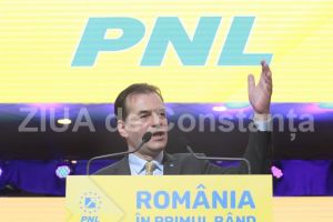 Noile denumiri ale ministerelor din Guvernul Orban. Ce departamente sunt infiintate si ce scop vor avea
