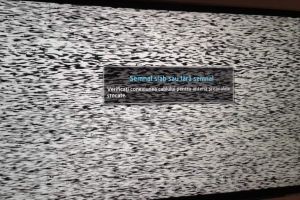 O televiziune IMPORTANTĂ din vestul ţării a rămas FĂRĂ LICENŢĂ! Iată ce a decis CNA