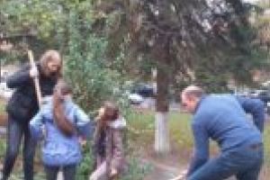 Primarul Felix Borcean priveşte spre viitor. Molidul creşte încet…, ajunge la vârsta adultă în circa 50 de ani