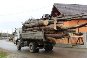 Bistriţa-Năsăud, în top 10 judeţe din care s-a tăiat ilegal o mare cantitate de lemn. Reacţia lui Deneş