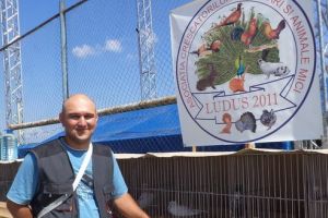 Expoziţiile de porumbei, păsări şi animale mici continuă la Luduş