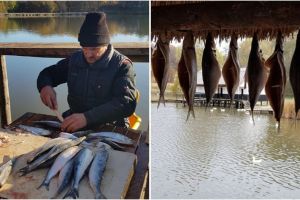 Evenimente pentru toţi sibienii la Muzeul Astra în weekend – Expoziţii şi ateliere gatronomice