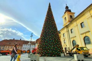 VIDEO FOTO A fost montat bradul în Piaţa Mare – E mai frumos ca cel de anul trecut?