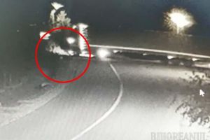 Filmare şocantă cu accidentul de la Telechiu: Şoferul care şi-a omorât doi consăteni şi a fugit a fost arestat (VIDEO)