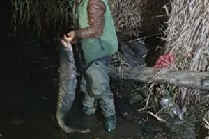 Un braşovean a fost prins de poliţiştii din Sibiu, la miezul nopţii, în timp ce pescuia ilegal (FOTO)
