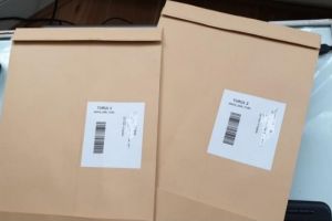 ALERTĂ Primele PROBLEME la votul din diaspora - MAE vine cu explicaţii