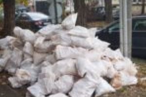 O intersecţie din Timişoara, magnet pentru gunoaie! De la sute de papuci, la zeci de saci plini cu moloz