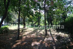 Judecatorii au decis:  Fosta firma Pomacost nu va primi mai multi bani de la Primarie