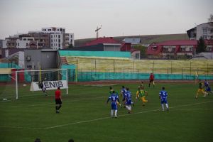 Foresta învinge, dar nu convinge