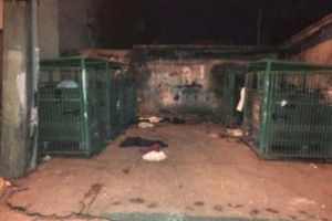 Imaginile zilei: Mizerie la greu pe strada Granicerilor