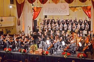 Toamna se numără simfoniile: Festivalul muzicii clasice începe luni la Filarmonica Oradea